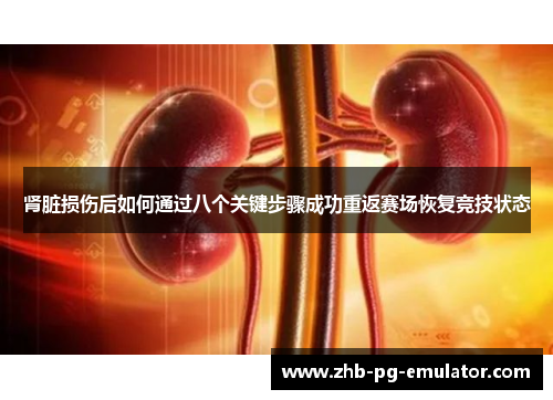 肾脏损伤后如何通过八个关键步骤成功重返赛场恢复竞技状态 肾脏损伤后如何通过八个关键步骤成功重返赛场恢复竞技状态