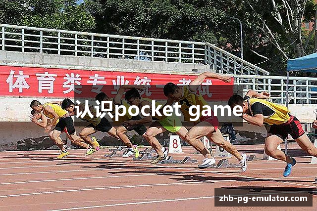 认识pocket game